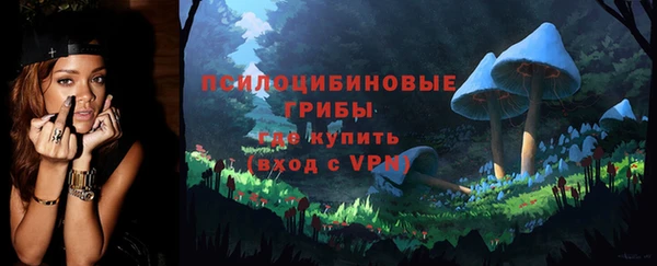 тгк Болотное