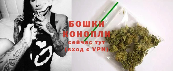 твердый Зеленодольск