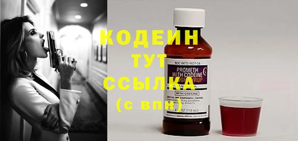 твердый Зеленодольск